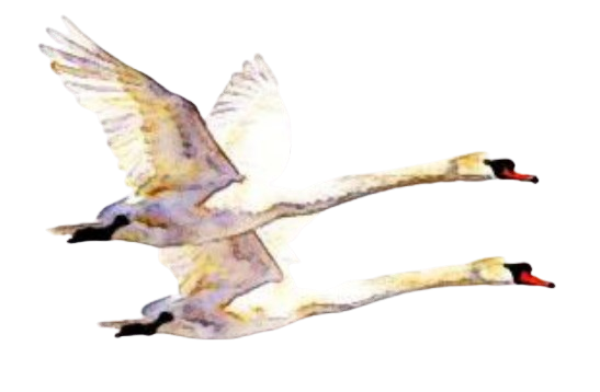Eldeco Echoes of Eden Logo